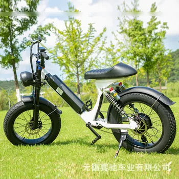 48V1000W 20-инчов Fat Tire Power Bicycle Снежен планински Велосипед