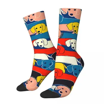 Симпатично луд мъжки чорапи в стил хип-хоп, ретро, унисекс модел кучета в стил харадзюку, с принтом Happy Novelty Crew Socks, подарък за момчета